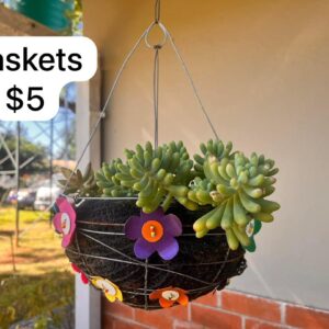 Baskets