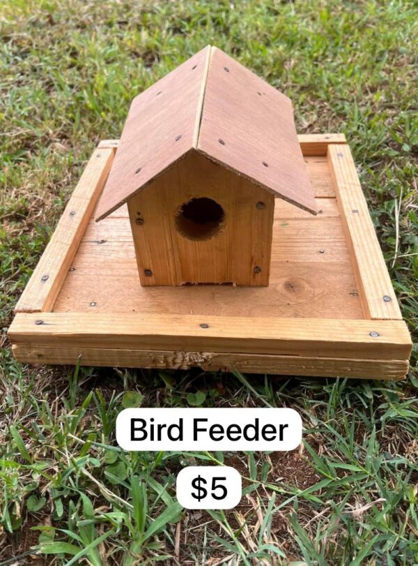 Bird Feeder