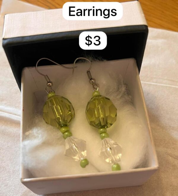 Earrings