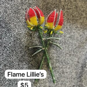 Flame Lillies