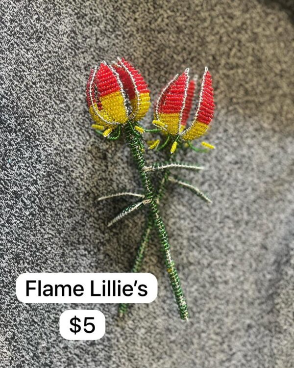 Flame Lillies