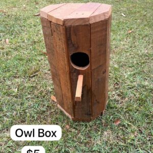 Owl Box