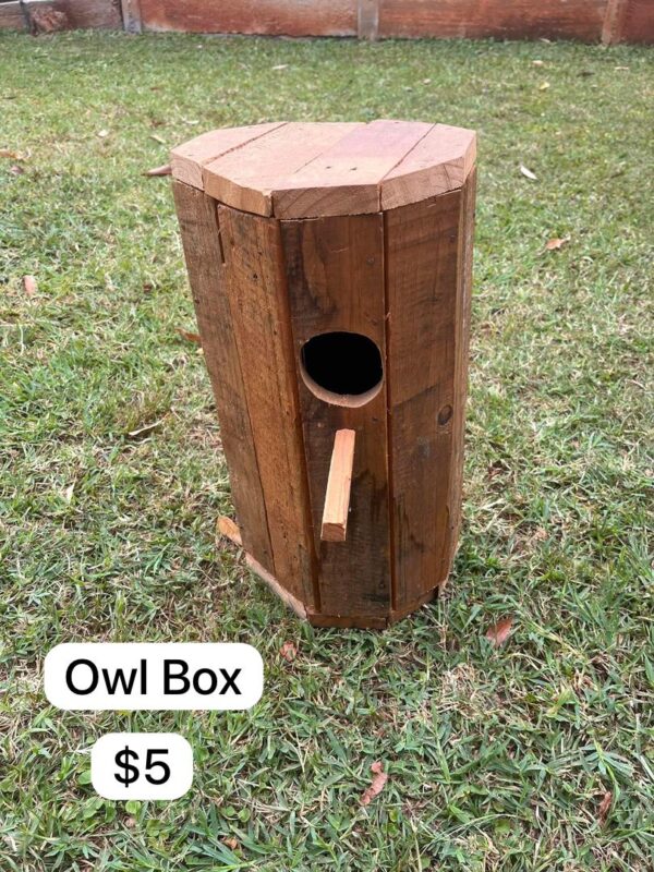 Owl Box