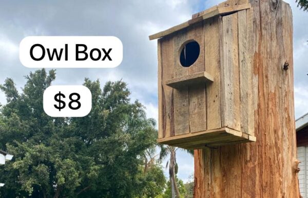 Owl Box